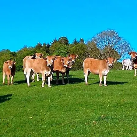 A La Ferme Au Coeur De L'auvergne 4*