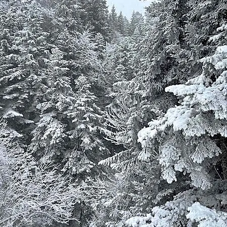 Hotel A La Ferme Au Coeur De L'auvergne 4*